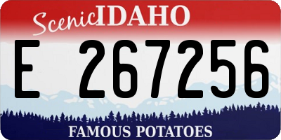 ID license plate E267256