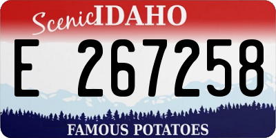 ID license plate E267258