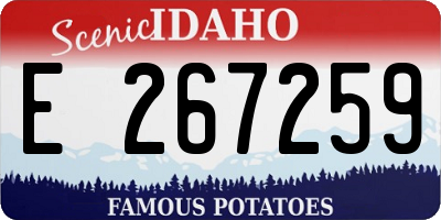 ID license plate E267259