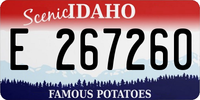 ID license plate E267260