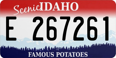ID license plate E267261