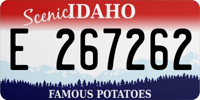 ID license plate E267262