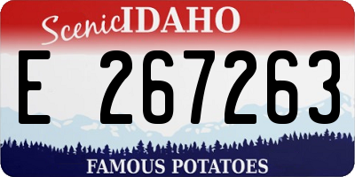 ID license plate E267263