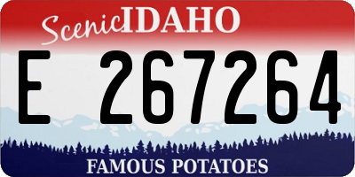 ID license plate E267264