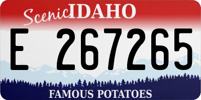 ID license plate E267265