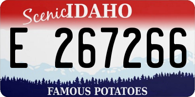 ID license plate E267266