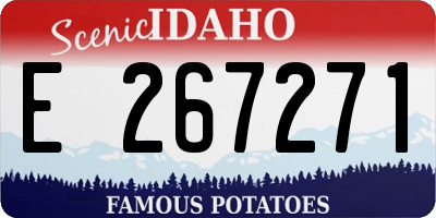 ID license plate E267271