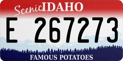 ID license plate E267273