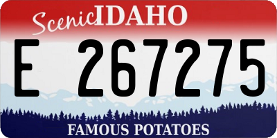 ID license plate E267275