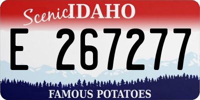 ID license plate E267277