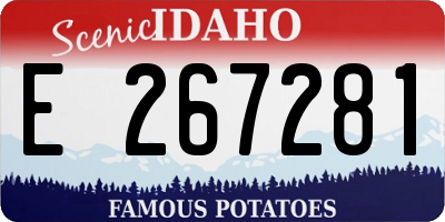 ID license plate E267281