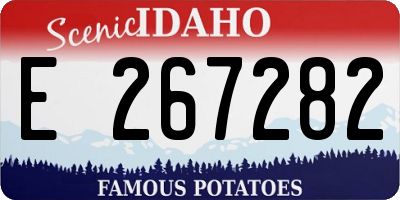ID license plate E267282