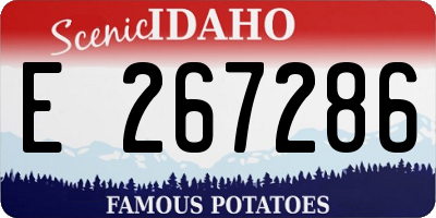 ID license plate E267286