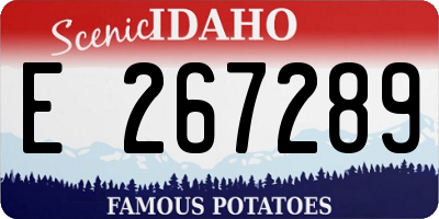 ID license plate E267289