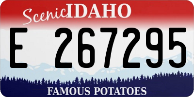ID license plate E267295