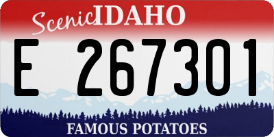ID license plate E267301