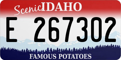 ID license plate E267302