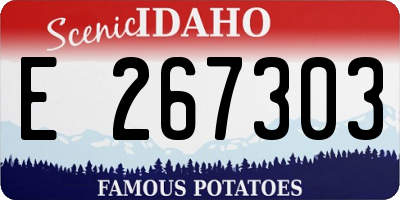 ID license plate E267303