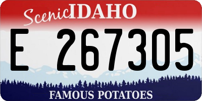 ID license plate E267305