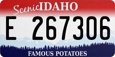 ID license plate E267306