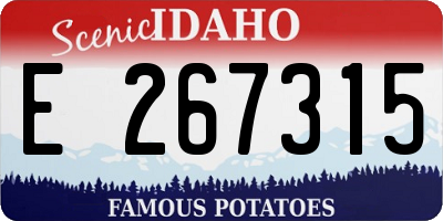 ID license plate E267315