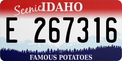 ID license plate E267316