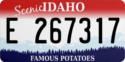 ID license plate E267317