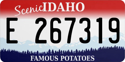 ID license plate E267319