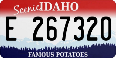 ID license plate E267320