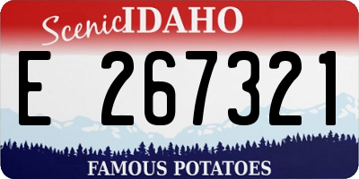 ID license plate E267321
