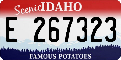 ID license plate E267323