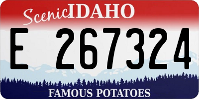 ID license plate E267324