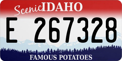 ID license plate E267328