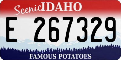 ID license plate E267329