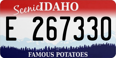 ID license plate E267330