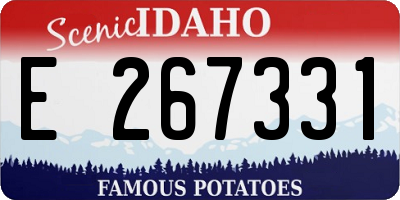 ID license plate E267331