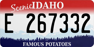 ID license plate E267332