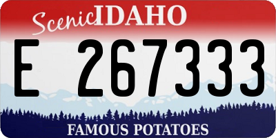 ID license plate E267333