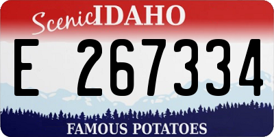 ID license plate E267334