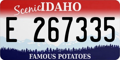 ID license plate E267335