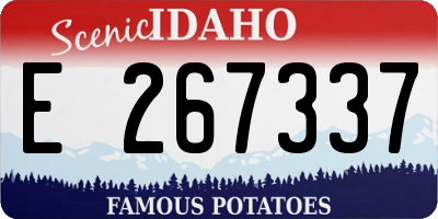 ID license plate E267337