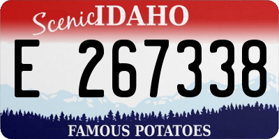 ID license plate E267338