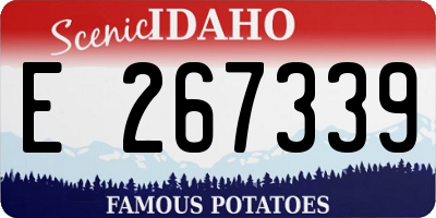 ID license plate E267339
