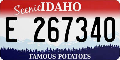 ID license plate E267340