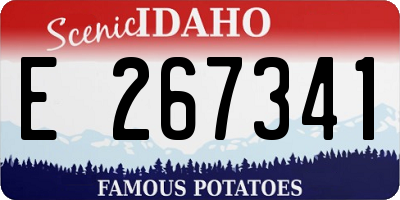 ID license plate E267341