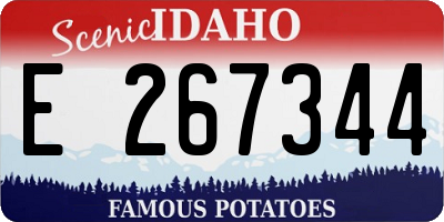 ID license plate E267344