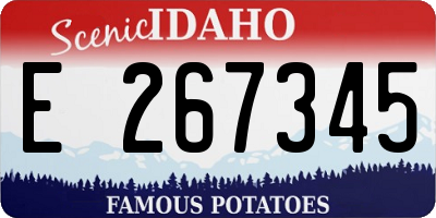 ID license plate E267345