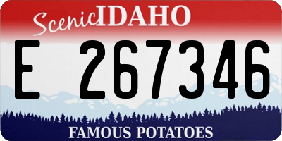 ID license plate E267346