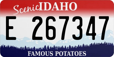 ID license plate E267347