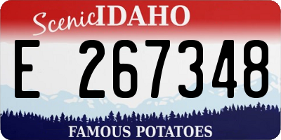 ID license plate E267348